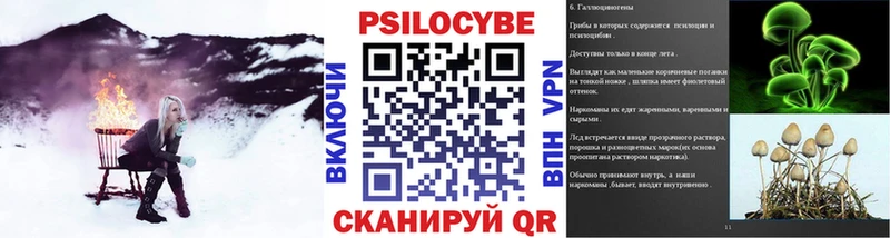 Галлюциногенные грибы ЛСД  Пудож 